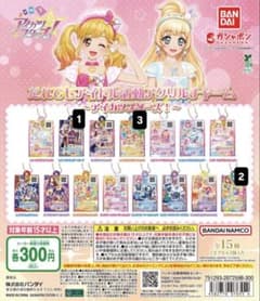 だれでもアイドル活動アクリルチャーム ～アイカツスターズ！～