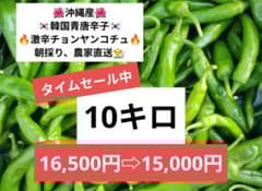 タイムセール】朝採り☆韓国青唐辛子☆激辛チョンヤンコチュ☆10キロ