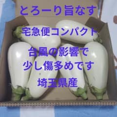 とろーり旨なす　白茄子　白ナス 白なす トルコナス　詰め合わせのサムネイル