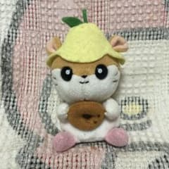 m55957276947_1.jpg?1699656805