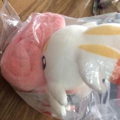 ⚡️2021ピカピカボックス⚡️ ヒバニーブランケット