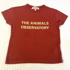 THE ANIMALS OBSERVATORY Tシャツ TAO 4