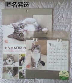 大人気　もちまる日記　2024年　カレンダー　卓上カレンダー　２点セットのサムネイル