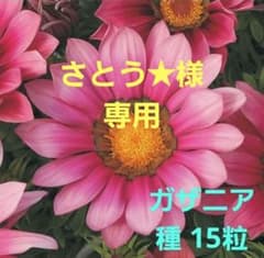 さとう☆様 リクエスト 2点 まとめ商品 - メルカリ