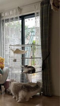 猫用 2段ケージ ハンモック付き キャットタワーのサムネイル