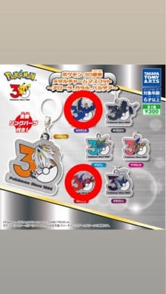 ポケモン 30周年 メタルチャームマスコット 2種セットのサムネイル
