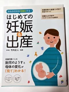 はじめての妊娠＆出産 竹内正人 監修のサムネイル