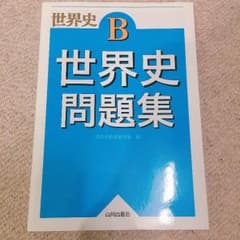 新品未使用 世界史問題集のサムネイル