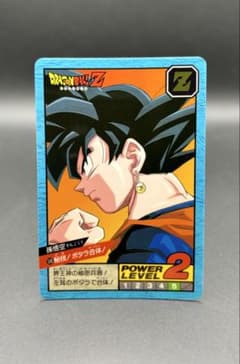 【バラ売り可】ドラゴンボールZ カード キラ み*ろ様 ドラゴンボール スーパーバトル 13弾 隠しキラ 1枚目のみ No.5