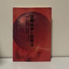 国際紛争と国際法のサムネイル