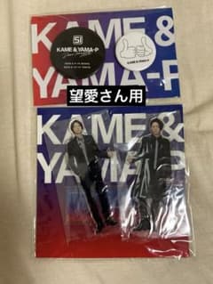 亀と山P グッズのサムネイル