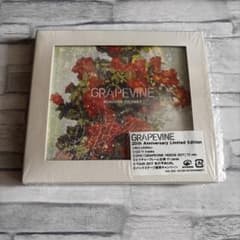 ROADSIDE PROPHET(20th 限定盤 GRAPEVINE ケース付 - メルカリ