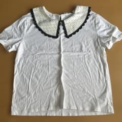 ZARA 襟付きTシャツのサムネイル