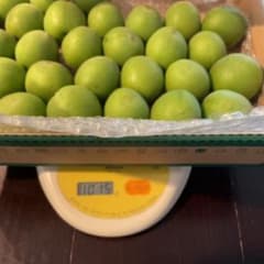Thumbnail of 傷あり 青梅 約900g 生梅