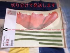 IKEA ウォールステッカー　ポピー【廃盤品】のサムネイル