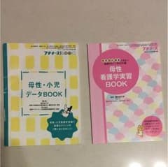 プチナース付録 母性小児ミニブックのサムネイル