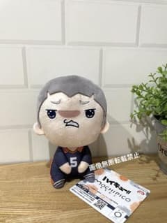 田中龍之介 ハイキュー!! もちぴこ ぬいぐるみ 第4弾 田中 4 新品タグ付き