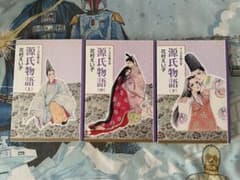 源氏物語 全3巻セット 花村えい子 - メルカリ