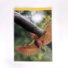 『ナショナル ジオグラフィック 野生動物 奇跡の一瞬』小冊子 写真集のサムネイル