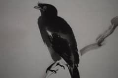 模写/川合玉堂/八可鳥/叭叭鳥図/桐共箱二重箱付/布袋屋掛軸HF-570 模写/川合玉堂/八可鳥/叭叭鳥図/桐共箱二重箱付/布袋屋掛軸HF-570