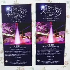 値下げ！浅草花やしきイルミネーションご招待券(チケット)2枚セットのサムネイル