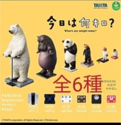 今日は何キロのサムネイル