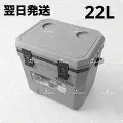 コメリ】 新品未使用 ナチュラルシーズン 真空パネルクーラーボックス