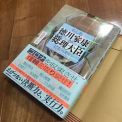 ビジネス小説 もしも徳川家康が総理大臣だったらのサムネイル