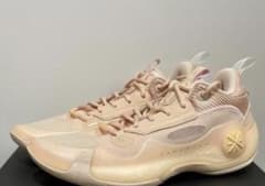 リーニン　WAY OF WADE 10 LOW 26.0cm(US8.5)のサムネイル