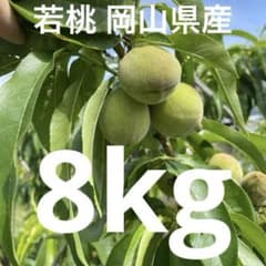 若桃 ！3〜４センチ位のサイズです！岡山県産！清水白桃！コンポートや甘露煮など！のサムネイル
