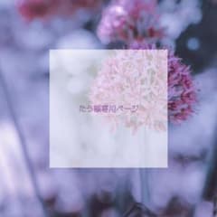 たう様専用ページのサムネイル