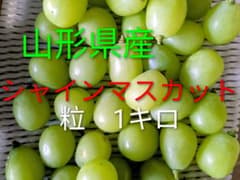 朝採れ　シャインマスカット　粒　箱込み1キロのサムネイル