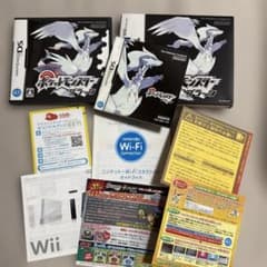 ポケットモンスター ブラック ニンテンドーDS ソフト完品のサムネイル