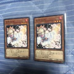 遊戯王 灰流うらら　ノーマル2枚セットのサムネイル