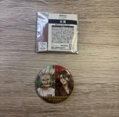 Dr.STONE ぶちくじ B賞 缶バッジのサムネイル