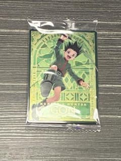 HUNTER x HUNTER 곤 이타자가 SP
