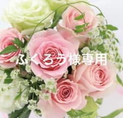 ふくろう様　専用のサムネイル