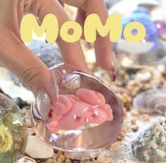 【値下げ】MoMo ミニシリーズ第1弾　スクイーズ　海洋　カニのサムネイル