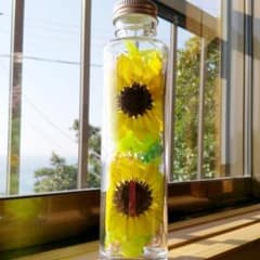 ハーバリウム ヒマワリナチュラルのサムネイル