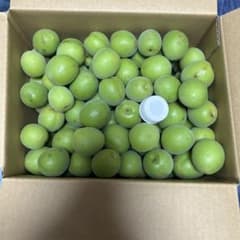 徳島県産無農薬南高梅2.6キロのサムネイル