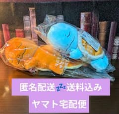 すやすやフレンド ヒトカゲ ゼニガメ ぬいぐるみ ポケモンスリープ レア すやすやフレンド ヒトカゲ ゼニガメ ぬいぐるみ ポケモンスリープ