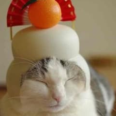 ら◇ら様専用！！のサムネイル