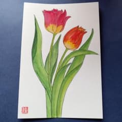 赤いチューリップ！手描きの絵手紙 - メルカリ
