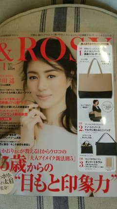 mari様専用　& LOSY 11月号　付録　nano UNIVERSEのサムネイル