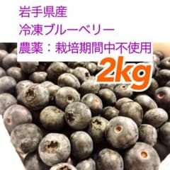 岩手県産 ブルーベリー 冷凍 2kgのサムネイル