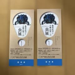 養老孟司と小松山賢二の虫展 招待券のサムネイル