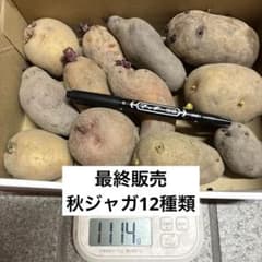 じゃがいも　12種　種芋　サイズ　自然栽培　⑤1114 gのサムネイル