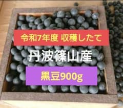 令和7年度収穫　丹波篠山産 黒豆 900gのサムネイル