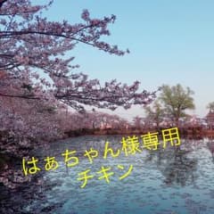はぁちゃん様専用 チキンのサムネイル