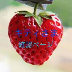 タッパー  確認ページのサムネイル